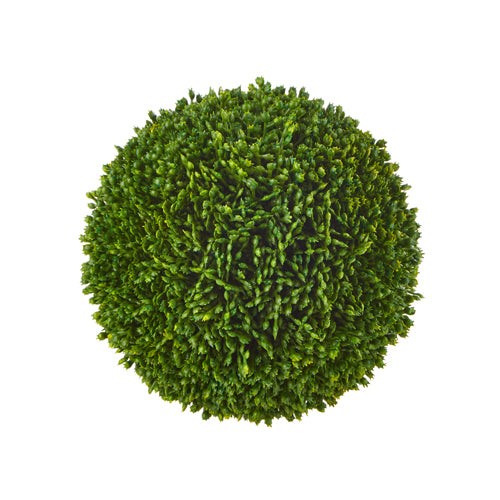 Green Sedum Ball
