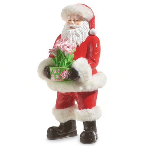 Santa with Amaryllis