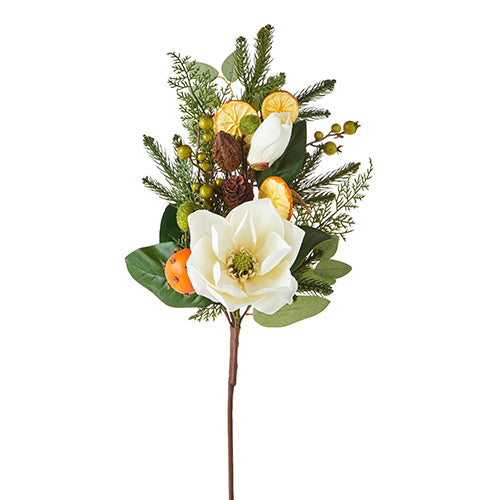 Mixed Greenery Citrus and Magnolia Spray