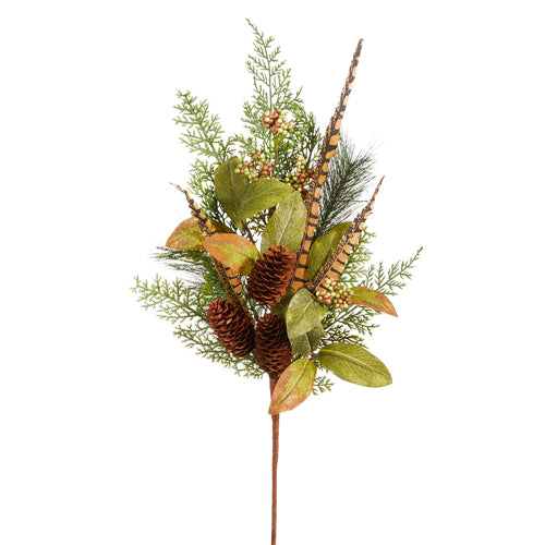 Feather and Cedar Spray