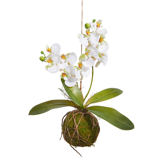 Real Touch Moss Ball Orchid