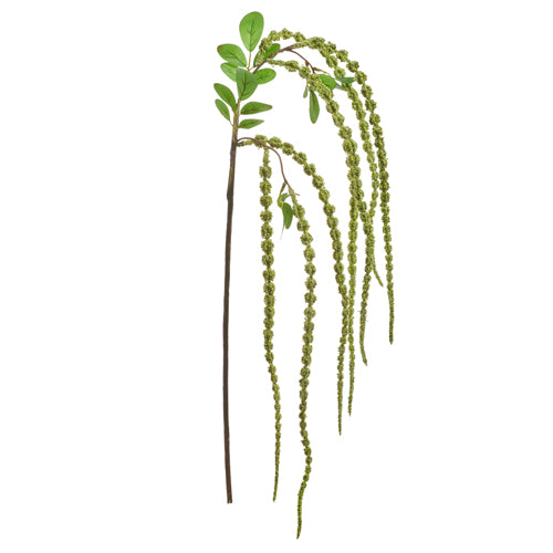 Amaranthus Spray (greenery)