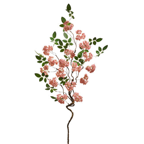 Pink Blossom Branch