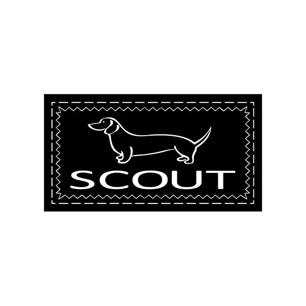 Scout