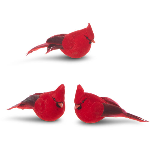 Clip on Cardinal