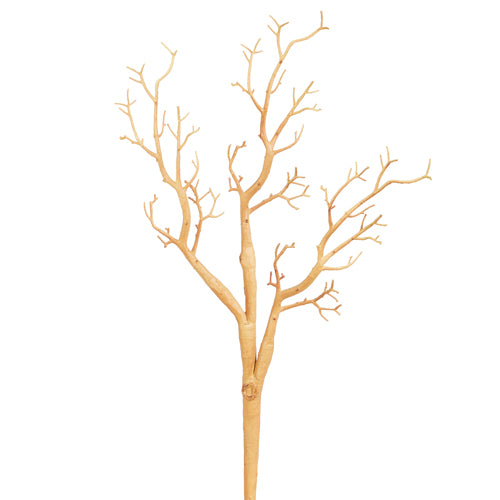 Natural Branch Pick